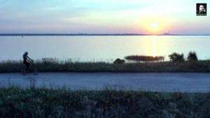 Электровелосипед xDevice xBicycle 14, 250W