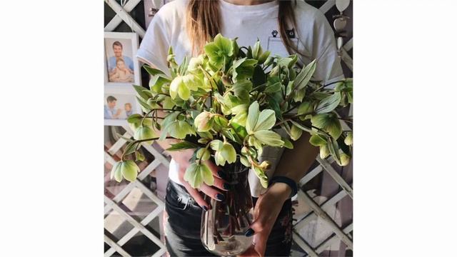 Ролик для свадьбы Никиты и Яны – Цветы смотреть онлайн