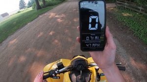 Can-Am Ds 250 top speed