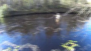 Ловля Хариуса на Кольском полуострове