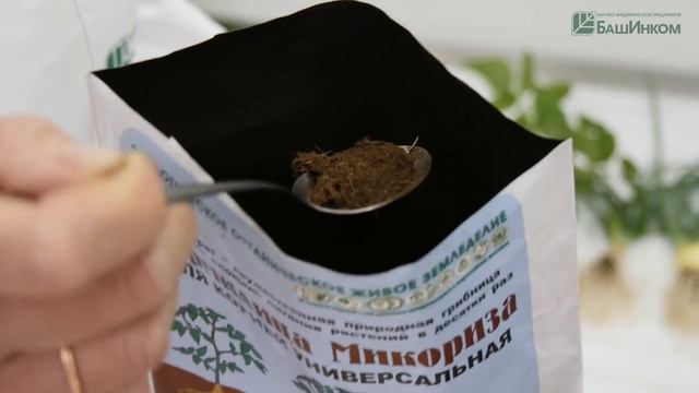 Страшное дело. Кормилица взорвала интернет