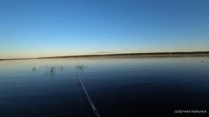 Ловля ОКУНЯ на вертушку.Рыбалка на Северной Двине.Спиннинг. Хороший клев ОКУНЯ