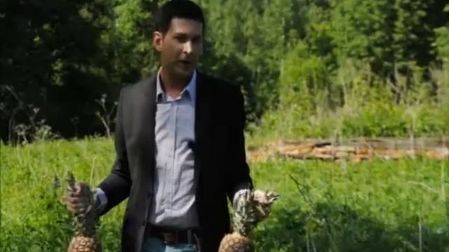 Усадьбы и судьбы. Новоспасское