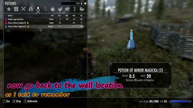 Skyrim _ Free House and Farm