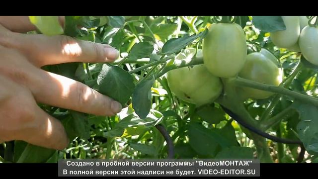 С чего начиналась наша дача часть 2 смотреть онлайн