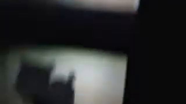 Nintendogs:Best friends and dacshund and friends смотреть онлайн