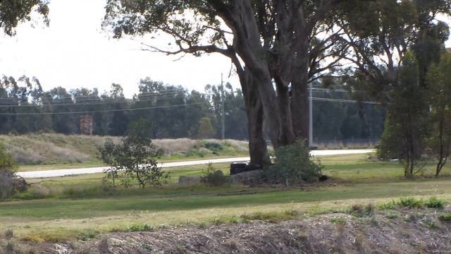 DECA Long Wang Toyota MR2 смотреть онлайн