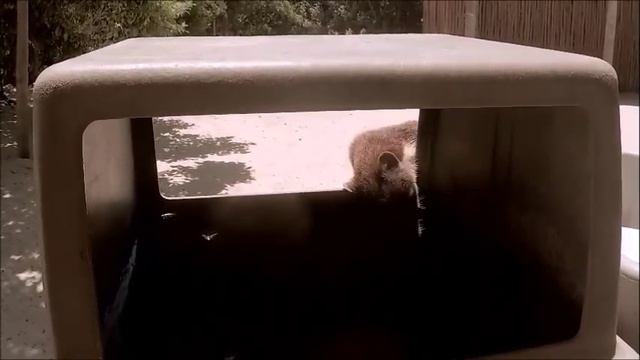 Отпуск в Мексике. Часть 2. Пляж и опасные татуировки. Valentina Ok. LifeinUSA. смотреть онлайн