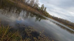 Нашёл где стоит рыба осенью! Удочка в дугу как летом! Рыбалка на Сакмаре