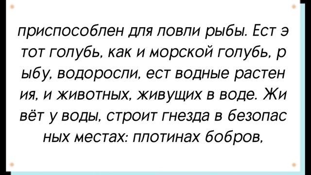 Виды голубей | Пресноводный голубь. смотреть онлайн