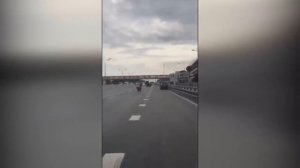 Пьяные девушки 2019