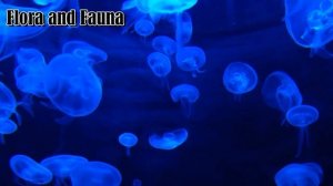 флора и фауна поразительно красивый мир