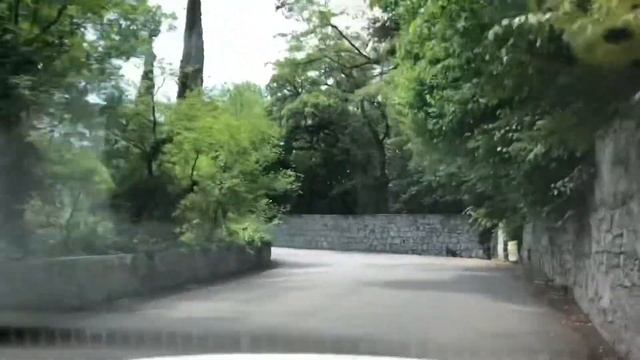 Никита пгт. От остановки «Теплица НБС» до оливковой рощи. 10.06.22. Крым.Ялта. Crimea. Nikita.Yalta смотреть онлайн