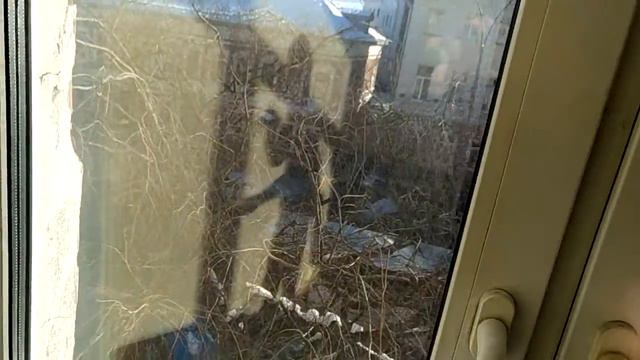 Аренда офиса Вологда 20 кв.м. 6999 рублей смотреть онлайн