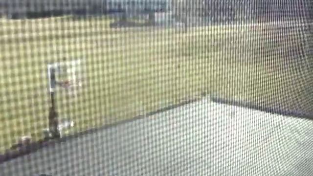 NEW Sony Cyber_Shot Quality Test! 12.1 Carl Zeiss 5x Optical zoom смотреть онлайн