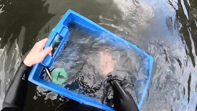 Коп в воде на заброшенной базе отдыха смотреть онлайн