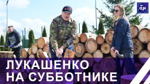 Рубим дрова, догрузиться надо! Лукашенко решил приобщить репортёров к колке дров. Панорама