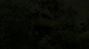 Домик на дереве