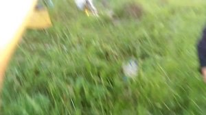 Ловим канального американского сомика!