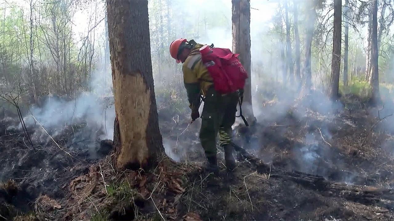 Лесные пожары граница. Природные пожары в Рязанской области 2022. Пожар Рязань лес 2022. Лесные пожары в августе Рязанской области 2022. Пожар в лесу.