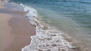 Оленевка 2024