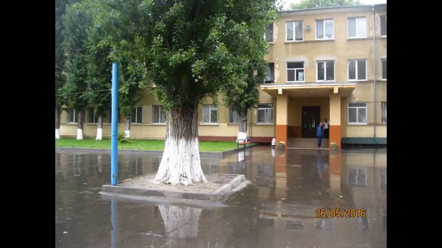 Дорогим и любимым учителям от выпускников 2016 года! смотреть онлайн