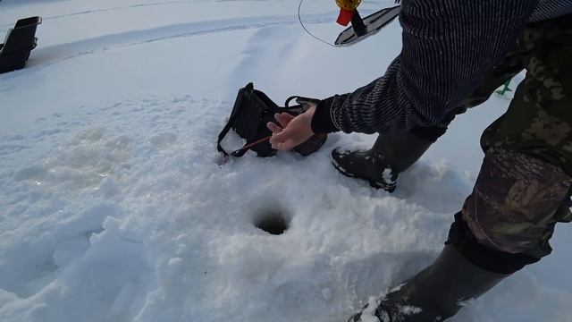 В ТАЙГУ НА ТРИ ДНЯ, ЗА ВЕСЕННИМ НАЛИМОМ \ ЗАБРОСКА В ТАЙГУ, ЖЕРЛИЦЫ В МЕТРОВЫЙ ЛЕД \ ЛАГЕРЬ И БЫТ Ч смотреть онлайн