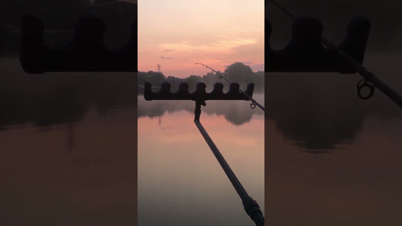 ЛУЧШЕЕ что ТЫ СЕГОДНЯ ВИДЕЛ смотреть онлайн