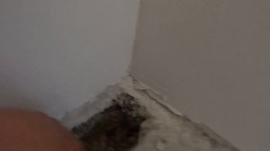 Однотрубная система отопления одноэтажного кирпичного дома
