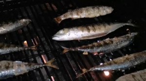 Рыба на мангале. Скумбрия и дорадо на гриле