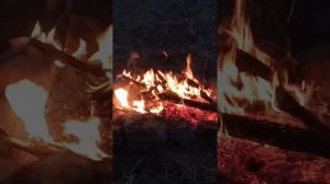 сильный Исламский проповедь даават 2022