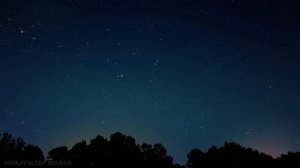 Starry Night Over the Suburbs | Nighttime Ambience | 10 Hours | Nature Sleep Sounds