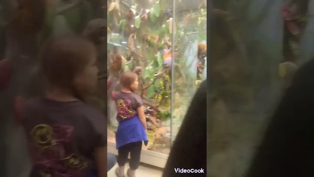 Дарвенский Московский музей ?? смотреть онлайн