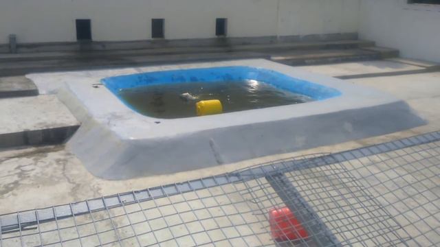 Зоопарк орто дойду в якутии смотреть онлайн