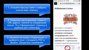 Как сохранить страницу сайта в Safari на iPhone (iPad) для офлайн просмотра
