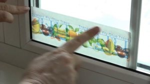 КЛЕЕВЫЕ ПОЛОСКИ ОТ МУХ И МОШЕК "МАШЕНЬКА"