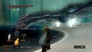 Dark Souls - PTDE #46 Прохождение (Озеро золы)
