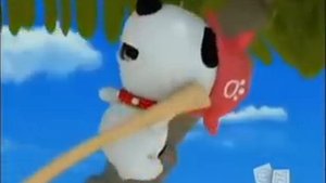 Monk Little Dog - Monk On A Desert Island