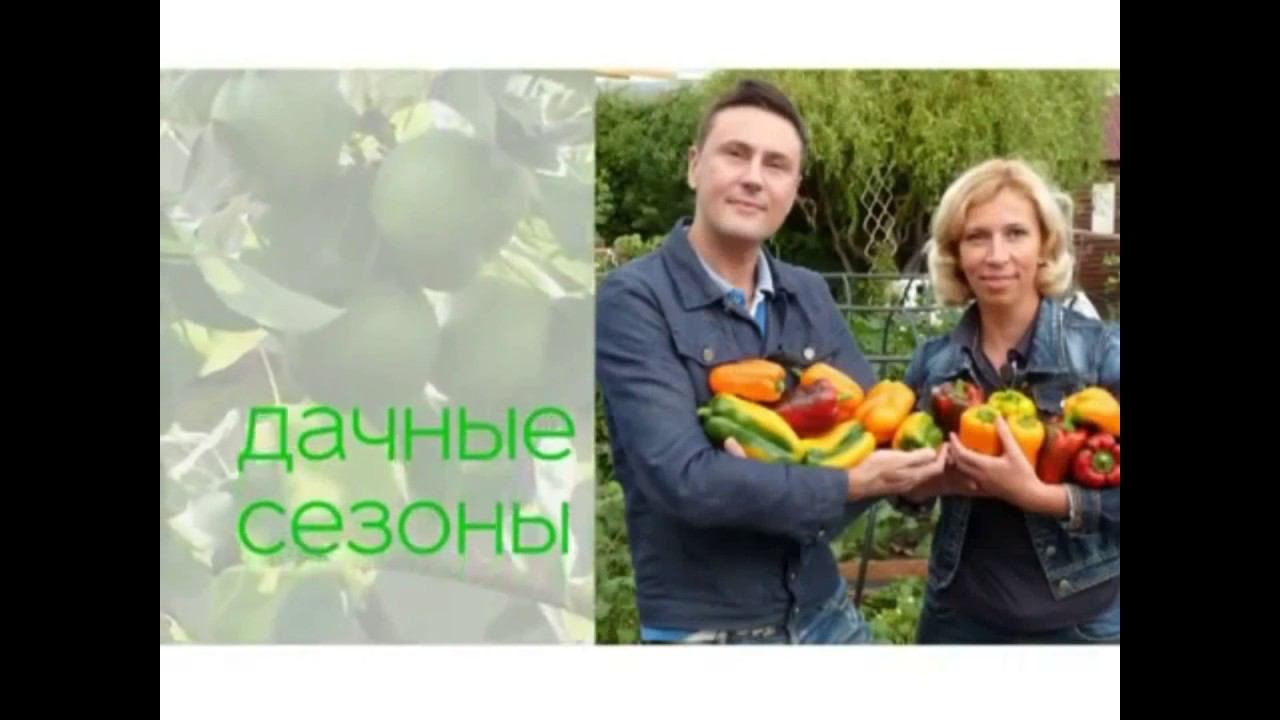 Самые эффективные средства от грызунов смотреть онлайн