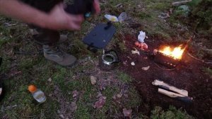 Одиночный бушкрафт поход. Ночь в сказочном лесу. Еда на костре.