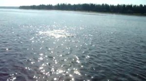 Рыбалка. Северная Сосьва. Щука 15 кг.