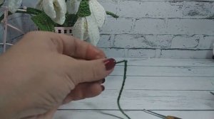 Подснежник / мастер класс / крючком