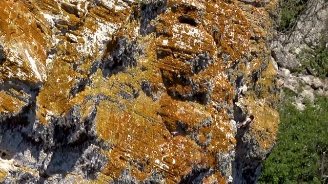 Розовые скворцы в Опукском заповеднике смотреть онлайн