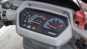 Suntum Motors Honda LEAD 80SS HF04