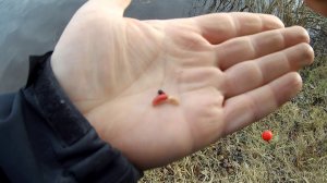 #13 Мормышинг. Плотва на спиннинг.