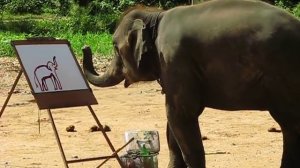 СЛОН УМЕЕТ РИСОВАТЬ !!!