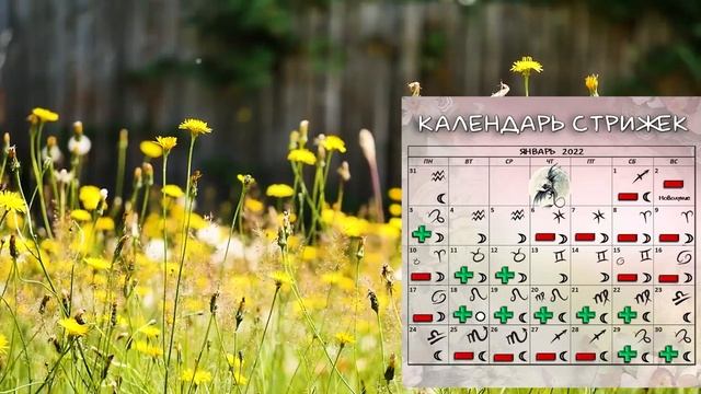 Стрижки в январе + ритуал для волос | Календарь стрижек #календарьстрижек #стрижкиянварьрь #ритуал