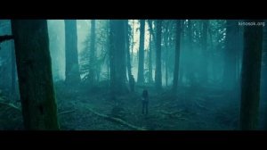 Сумерки / Гарри Поттер