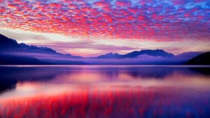 Jess Glynne - I'LL BE THERE (Lyrics)