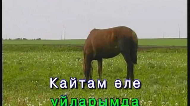 Әлдермешкә кайтам әле.Караоке Татарча смотреть онлайн